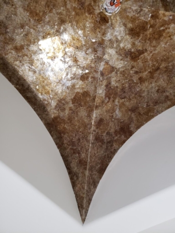 Bronze mica gothic groin ceiling